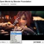 FlashVideoReplacer y olvídate de Flash en Linux (o casi)