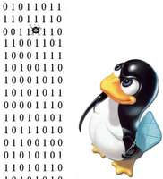 Como eliminar versiones del Kernel en Ubuntu