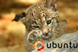 Ubuntu 10.04.3 LTS llega el 21 de Julio