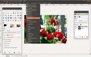 Como resaltar colores en una imagen en B/N con Gimp