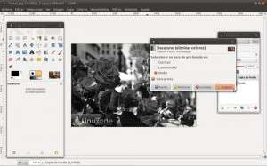 Como resaltar colores en una imagen en B/N con Gimp