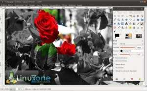 Como resaltar colores en una imagen en B/N con Gimp