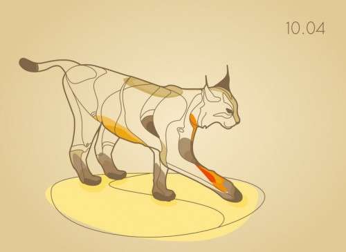 Llega Ubuntu 10.04.4, la evolución de Lucid Lynx