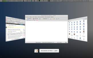 Efectos 3D en Cinnamon