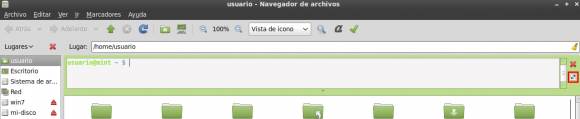 Editando la terminal