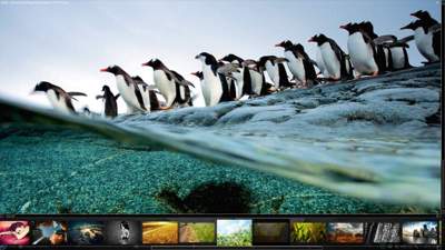 Photo 0.8 Qt Graphic Viewer en Kubuntu 12.04