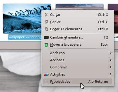 Photo 0.8 Qt Graphic Viewer en Kubuntu 12.04
