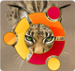ubuntu-lucid-lynx