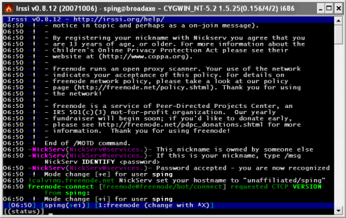 irssi_cmd_100