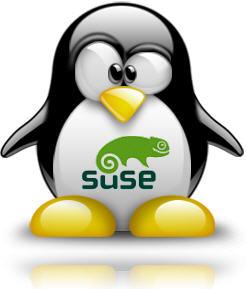 opensuse11.3
