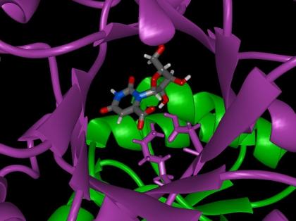 supercomputer  molecular simulation