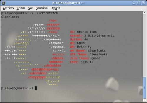 ScreenFetch