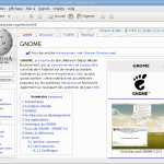 gnome2.30-epiphany2