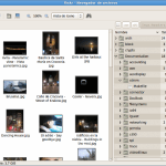 gnome2.30-nautilus