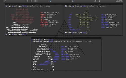 screenfetch2