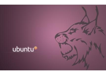 Ubuntu 10.04 LTS final