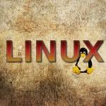 Linux_Tux_Grunge_by_Pariah73