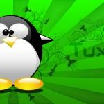 Tux_Wallpaper_by_Orange_Gimper