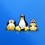 Tux__S_WP_by_z_dark