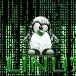 matrix_tux_by_kr3_w
