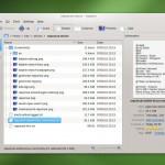 KDE-4.5-apps-Nepomuk-dolphin