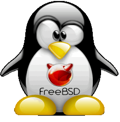 Guía de instalación de FreeBSD (Parte III)