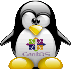 Centos 6.4 Disponible para Instalar