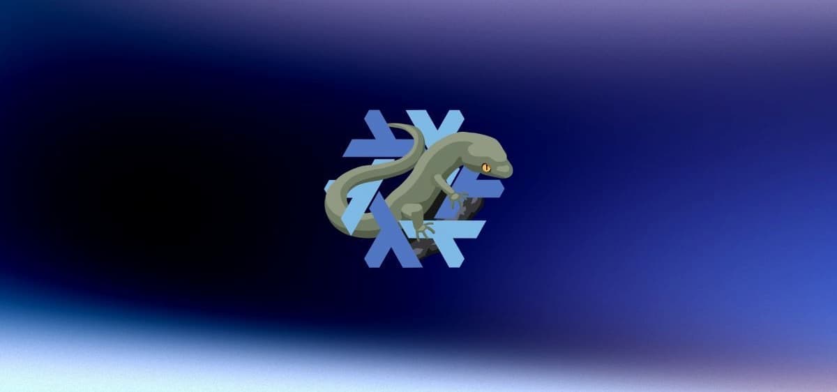 NixOS-25.11-Xantusia NixOS-25.11-Xantusia